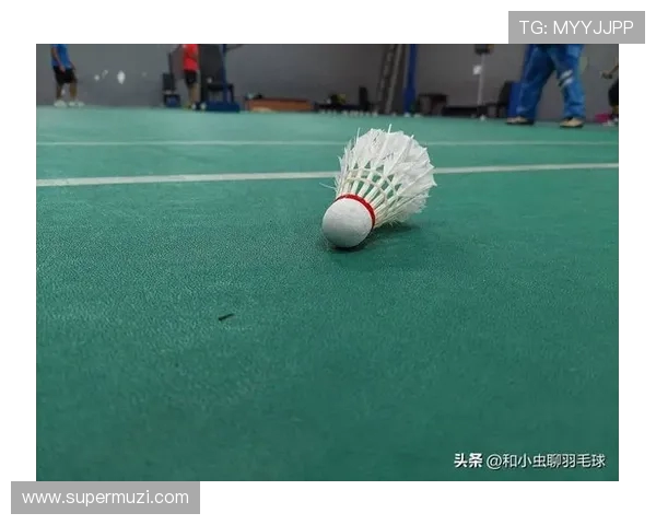 从零起步掌握羽毛球战术技巧全面指南助你成为场上高手 从零起步掌握羽毛球战术技巧全面指南助你成为场上高手