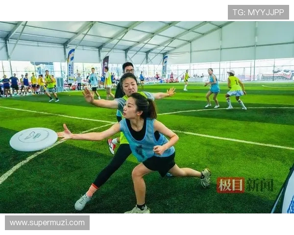 武汉飞盘队区域防守分析与战术得失探讨