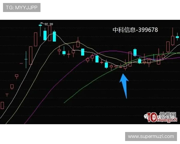 深圳羽毛球队与西安羽毛球队赛后复盘分析意识与战术的深度探讨