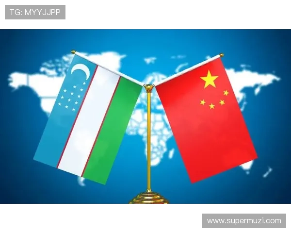 中国与乌兹别克斯坦视频对比分析探讨两国文化与经济发展差异