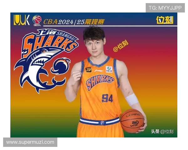 王哲林在CBA赛季中的表现与未来发展潜力分析