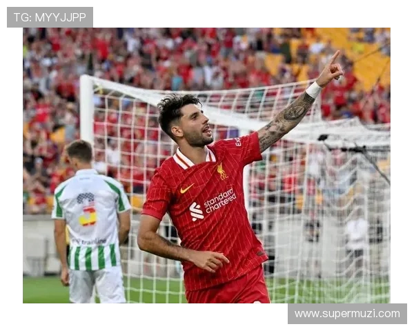 索博斯洛伊的历史传承与文化魅力探索之旅