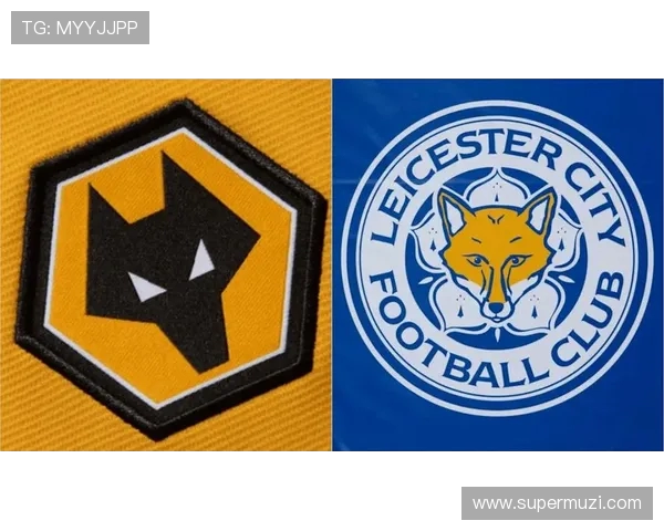 莱切城对阵狼队精彩比分揭晓比赛分析与球员表现回顾 莱切城对阵狼队精彩比分揭晓比赛分析与球员表现回顾