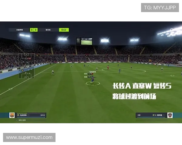 南京排球队边路渗透战术解析与实战应用探讨